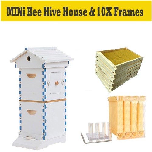 Auto draining honey mini - honey,