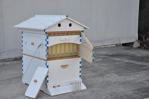 7pcs automatic honey beehive - honey,
